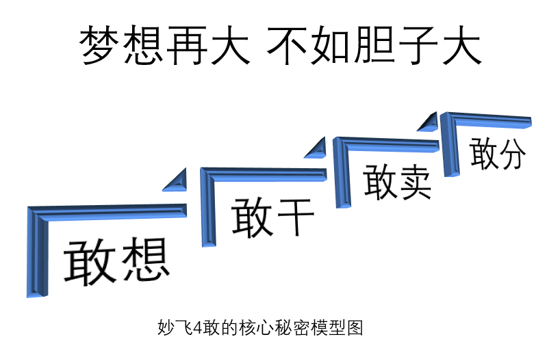 妙飛4敢核心秘密模型圖